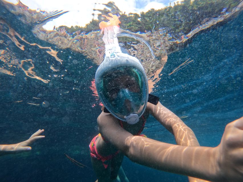 From Fazana: Rovinj Full Day Private Boat Tour