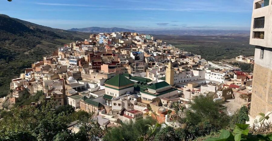 From Fes: Day Trip to Meknes, Volubilis, Moulay Idriss