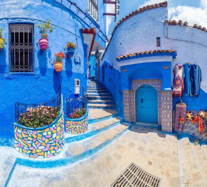 From Fes: Day Trip to The Blue City Chefchaouen - Trip Overview and Pricing