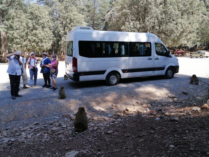From Fez: Middle Atlas Day Trip With Ifrane National Park