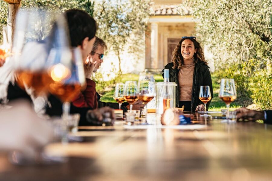 From Florence: Chianti Wine and Food Tasting Safari - Tour Overview