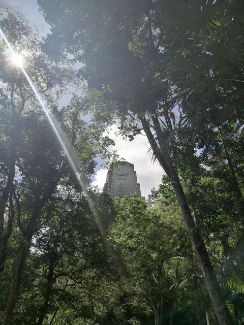 From Flores: Tikal Private Day Tour Exclusive