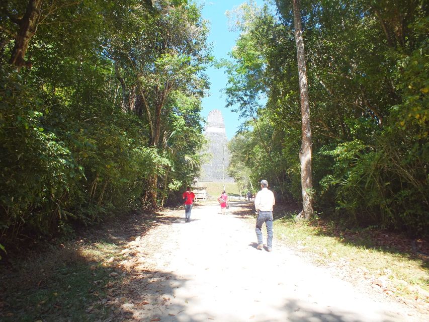 From Flores: Tikal Ruins Guided Day Trip