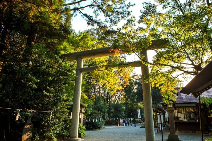 From Fukuoka: Day Trip to Miyazaki Takachiho Gorge & Shrine