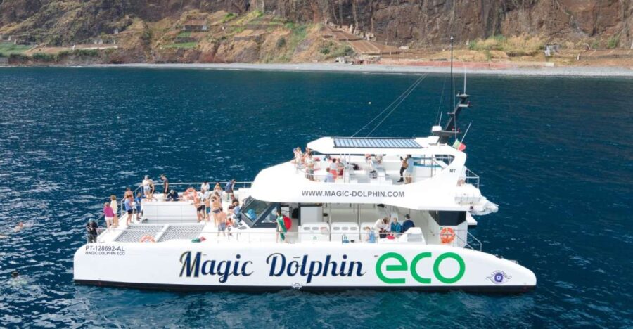 From Funchal: Ecological Catamaran Dolphin Whale Watching