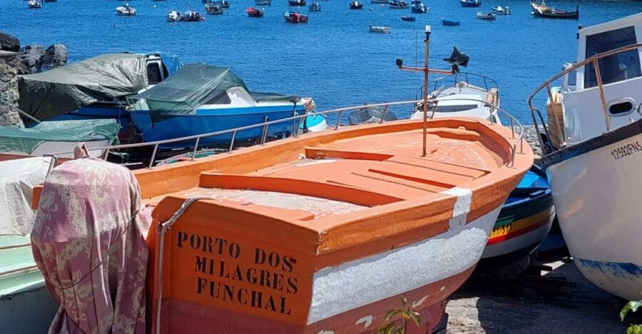From Funchal: Eucalyptus Forest Guided 4×4 Tour