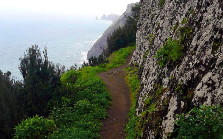 From Funchal: Machico to Porto Da Cruz Larano Cliff Hike