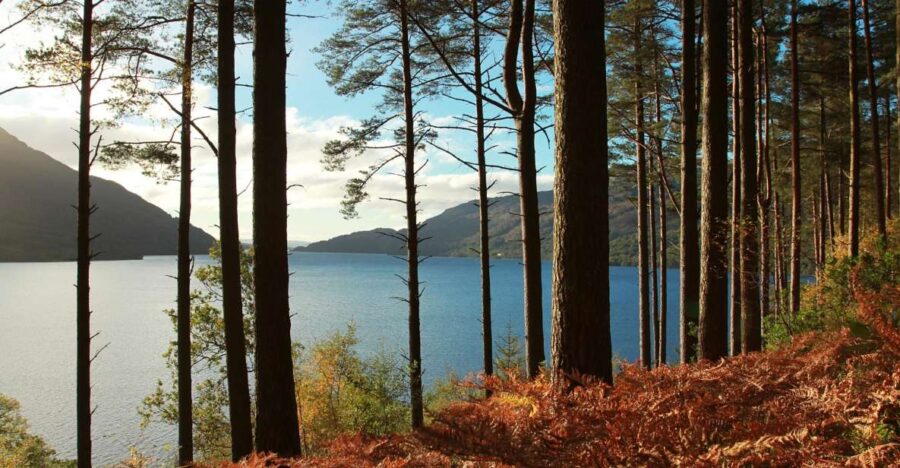 From Glasgow: Stirling Castle & Loch Lomond Tour With Cruise - Tour Overview