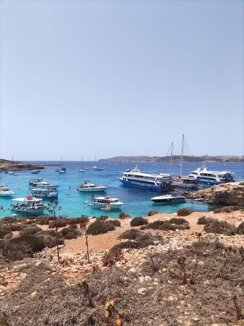From Gozo & Cirkewwa: Full-Day Comino & Blue Lagoon Cruise