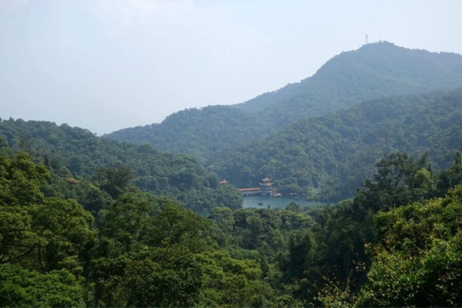From Guangzhou: Zhaoqing Full-Day Private Tour