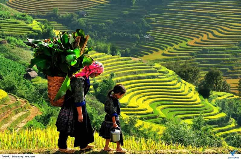 From Hanoi: 2-Day Sapa Trekking Tour With Limousine Transfer - Tour Overview and Pricing
