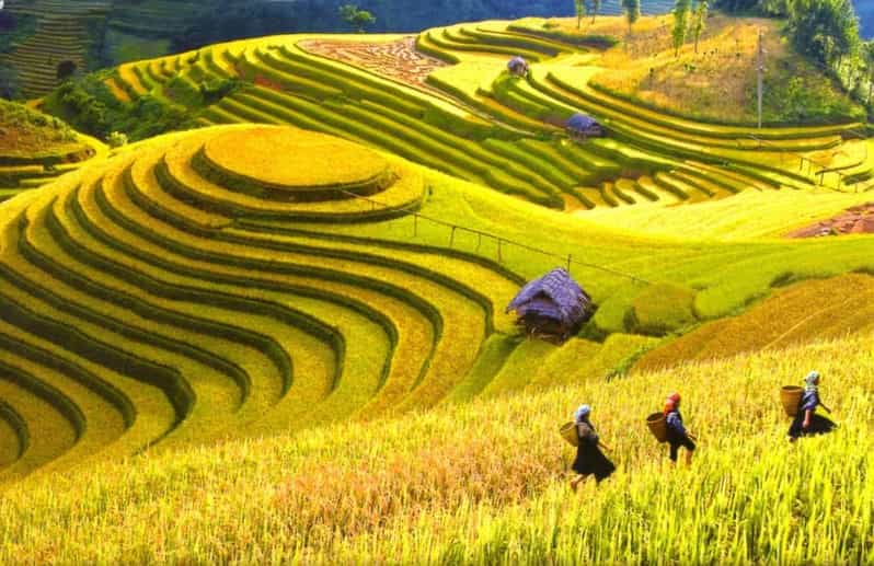From Hanoi: 3-Day Sapa Trekking Tour With Homestay or Hotel