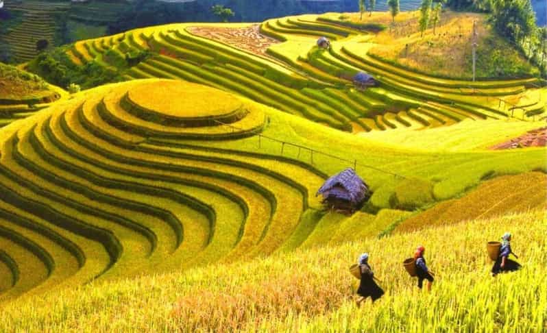 From Hanoi: Explore Sapa In 3 Days 2 Nights - Overview and Pricing