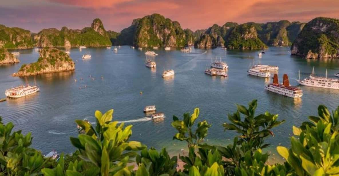 From Hanoi: Halong Bay, Titop Island, Sung Sot & Luon Caves - Tour Overview and Pricing