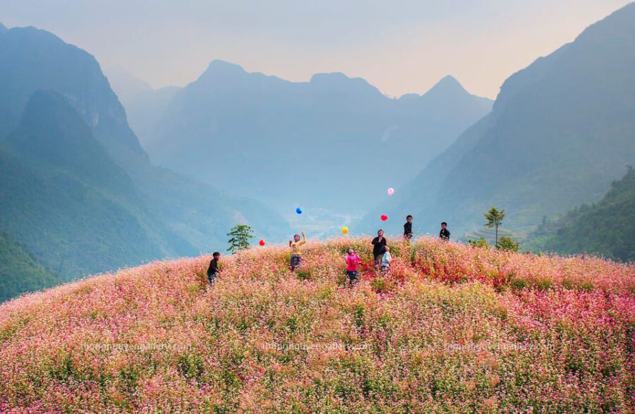 From HaNoi (or Sapa): Ha Giang Loop Tour 3 Days Self-Driving