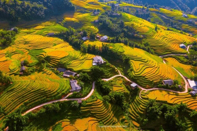 From Hanoi: Visit Sapa 3 Days & See The Terraced Fields