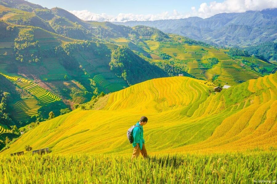 From Hanoi: Visit Sapa, Trekking To Local Village In 2 Days