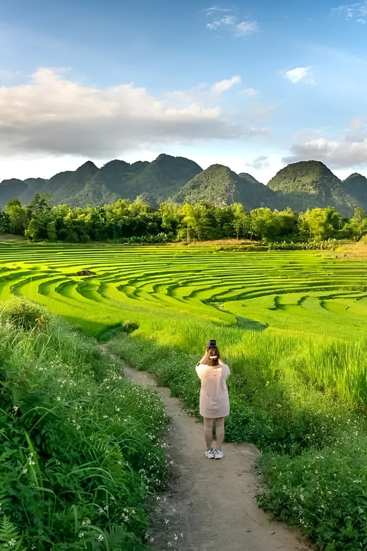 From Hanoi Visit The Local Village, Terraced Fields In 3 Day