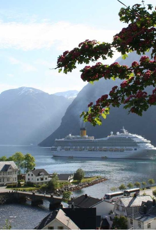 From Hellesylt: The Best of Geiranger Shore Excursion - Overview and Pricing