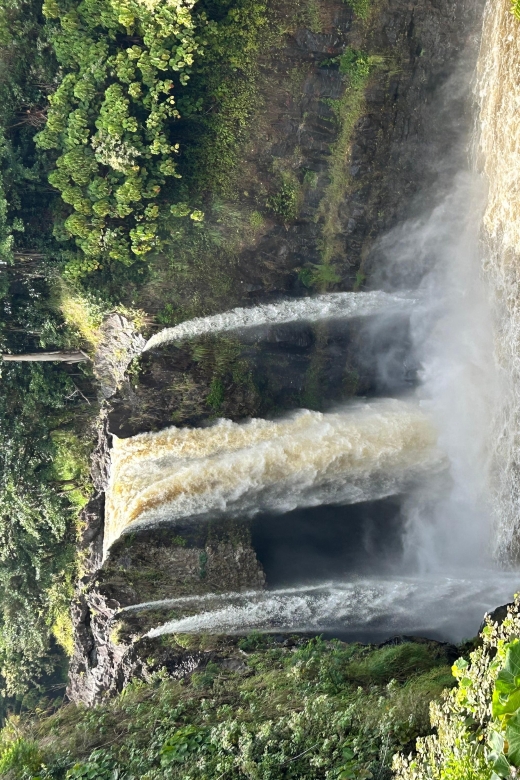 From Hilo: Hawaii Volcanoes National Park Tour