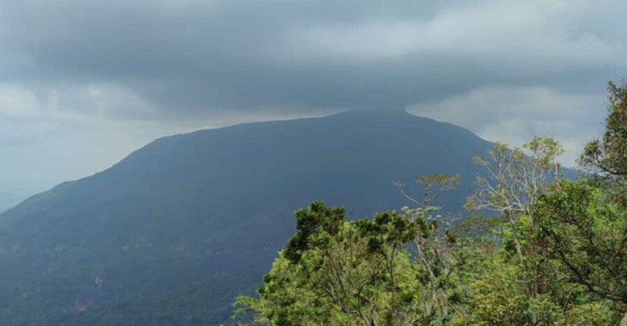 From Huatulco: Coffee and Mezcal Tour