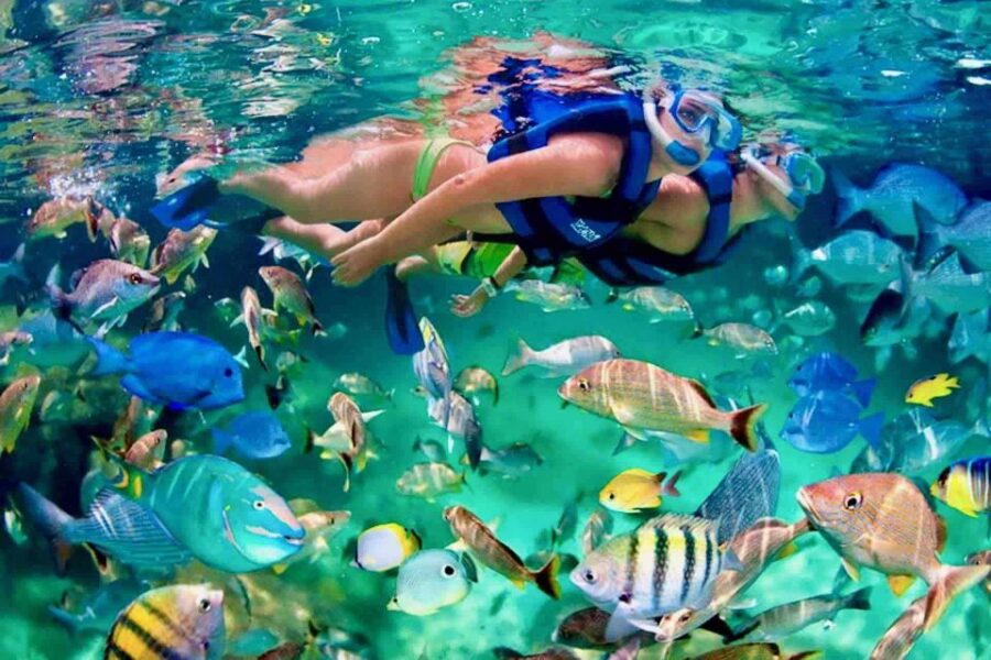 From Huatulco: Private 5 Bays Boat Tour