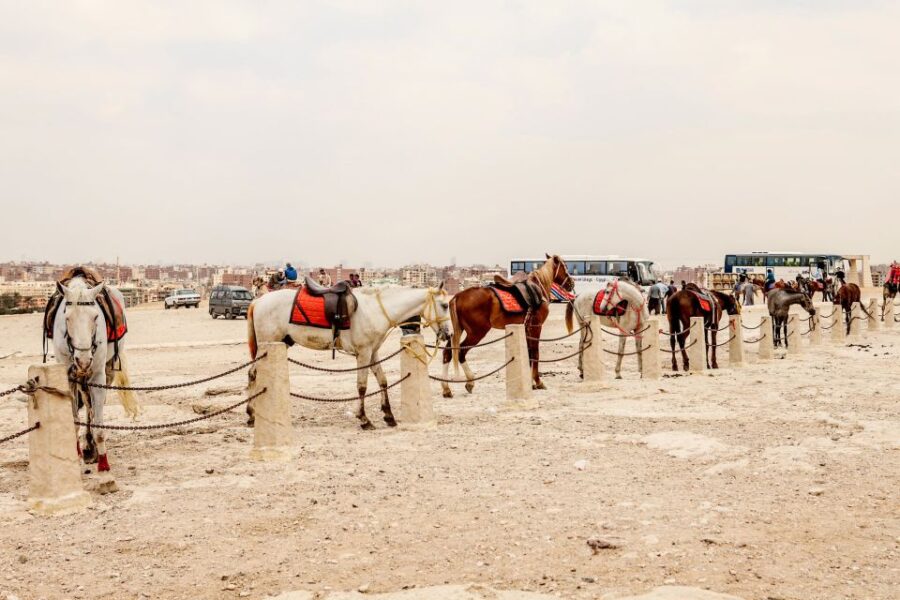 From Hurghada: Full-Day Trip to Cairo by Plane