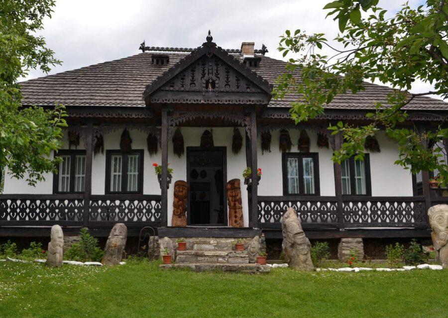 From Iasi: Rural Experience Fortress & Bison Reservation