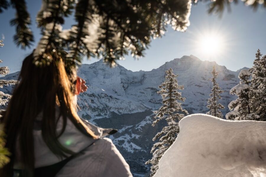From Interlaken: Guided Snowshoe Tour Around Isenfluh
