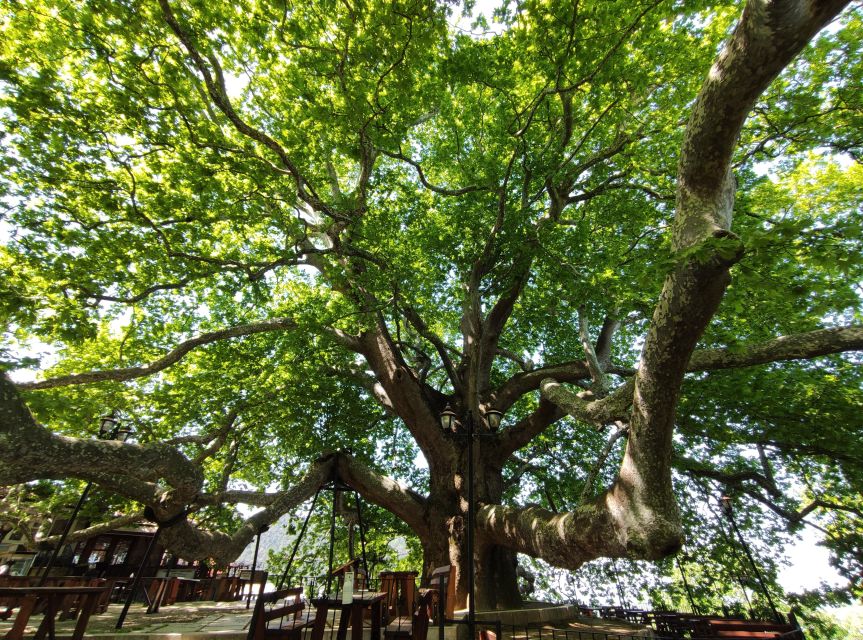 From Istanbul: Bursa and Uludag Bus Tour With Cable Car