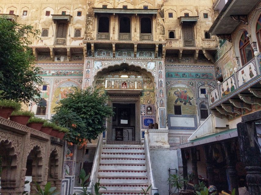 2 Best Tours In Mandawa