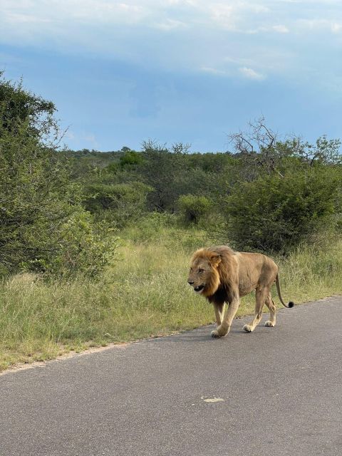 2 Best 3 Day Tours In Hazyview