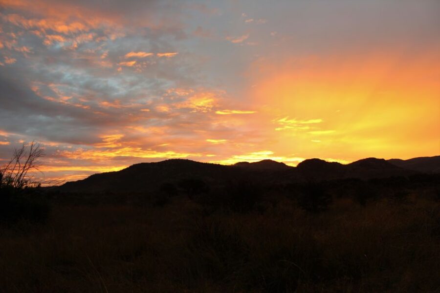 From Johannesburg: Pilanesberg Nature Reserve Game Safari