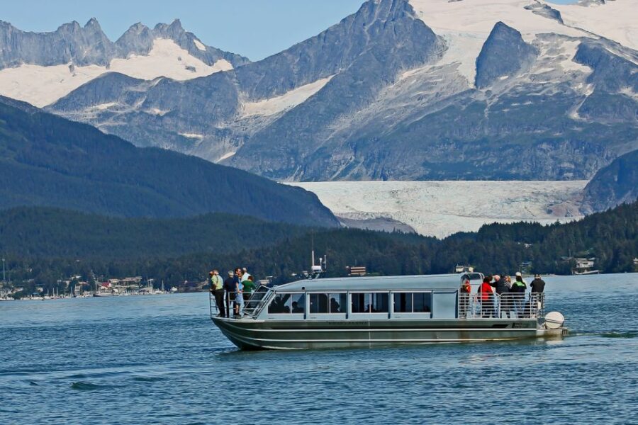 11 Best Whale Watching Experiences In Juneau