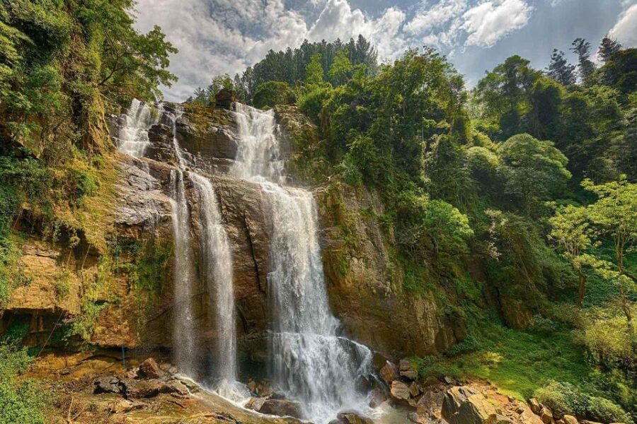 25 Best Tours In Nuwara Eliya