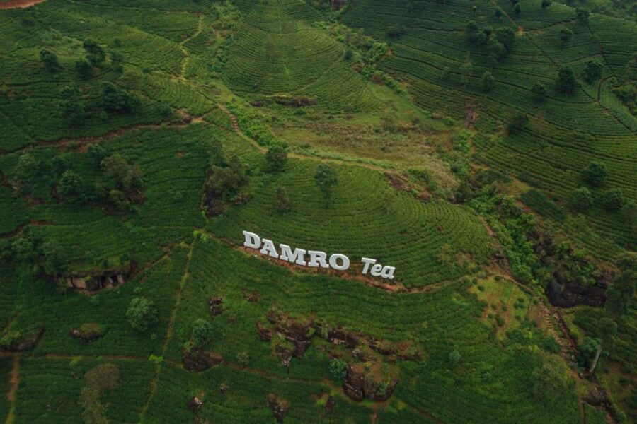 From Kandy To Nuwara Eliya Drop Tour - Private Tour