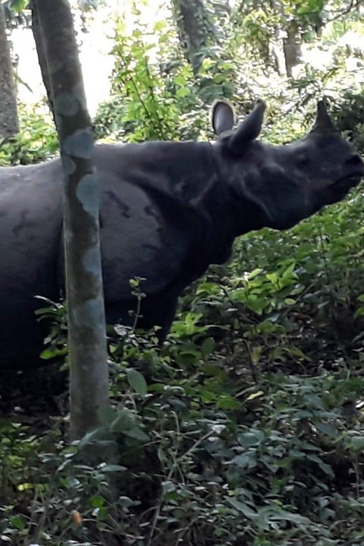 From Kathmaandu: 3 Day 2 Night Chitwan National Park Tour