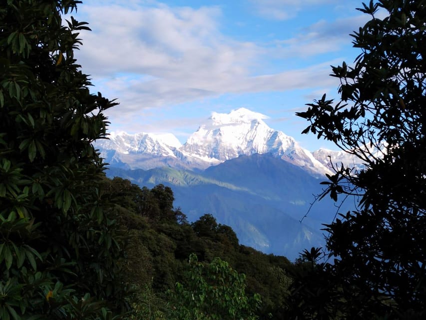 From Kathmandu: 4 Day Poon Hill Ghandruk Premium Trek - Trek Overview and Highlights