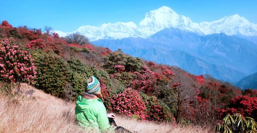 From Kathmandu: 6-Day Ghorepani, Poon Hill and Ghandruk Trek - Trek Overview and Pricing