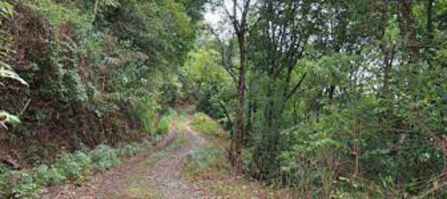 From Kathmandu: Joining Group Chandragiri Day Hiking Tour