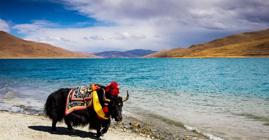 From Kathmandu: Multi-Day Tibet Highlights Trip
