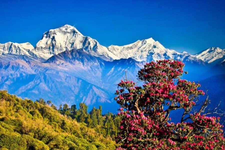 From Katmandu: 15-DAY Gokyo Valley Trek With Porter