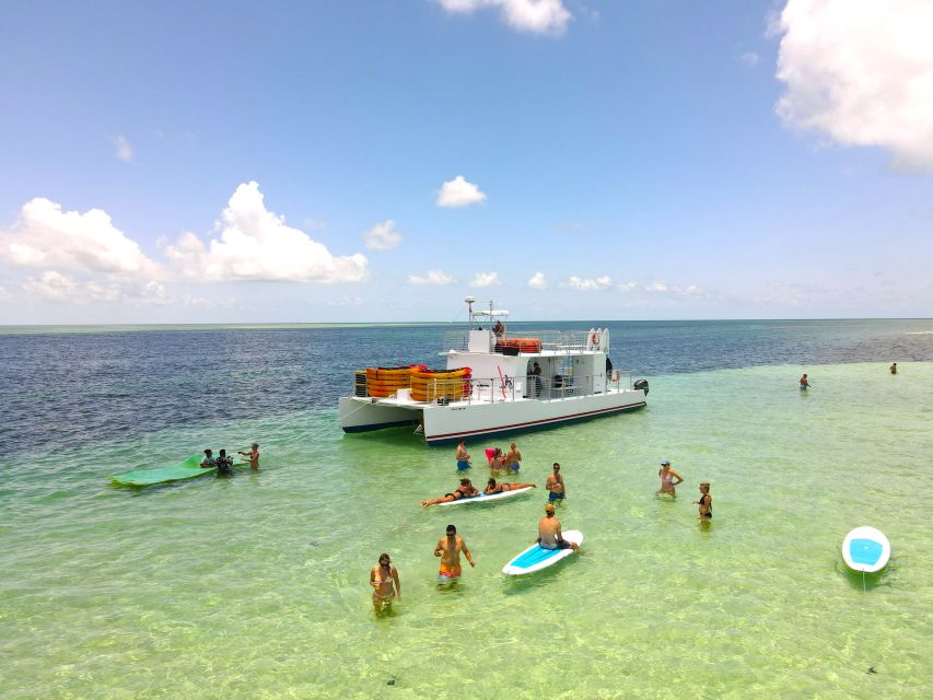 From Key West: Dolphin Watching Tour With Lunch & Drinks
