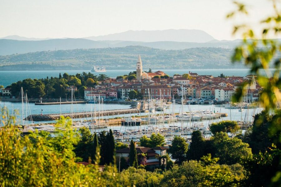 From Koper: Slovenian Riviera Bus Tour With Food Tastings - Experience Highlights