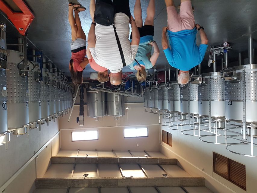 From Lagos: Private Algarve Wineries Tour With Tastings