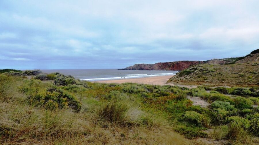 From Lagos: Private Guided Hike Along the Vicentina Coast