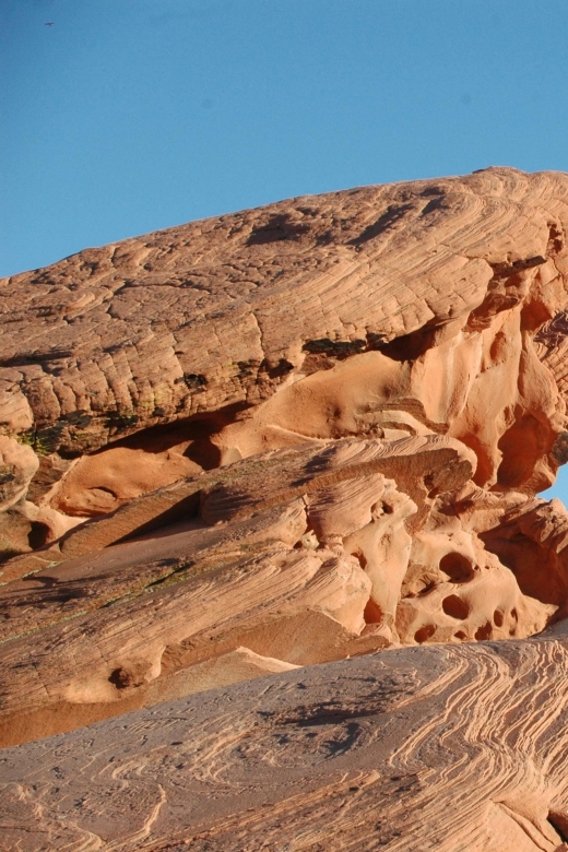 From Las Vegas - Valley of Fire - Tour Overview and Pricing