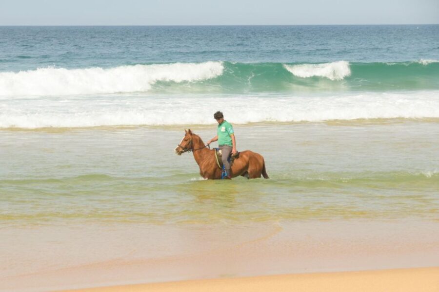 From Lisbon: Horseback Riding on Comporta Beach - Activity Overview