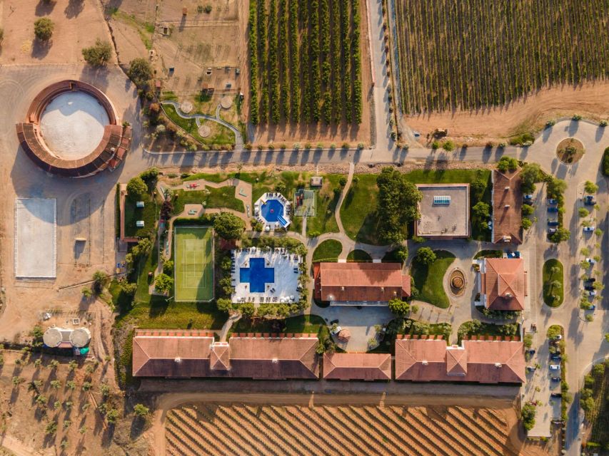 From Lisbon: The Best of Alentejo Day Trip All Inclusive