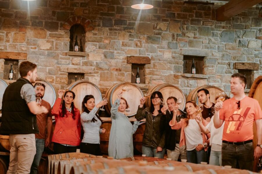 From Ljubjana: Slovenian Wine Tour